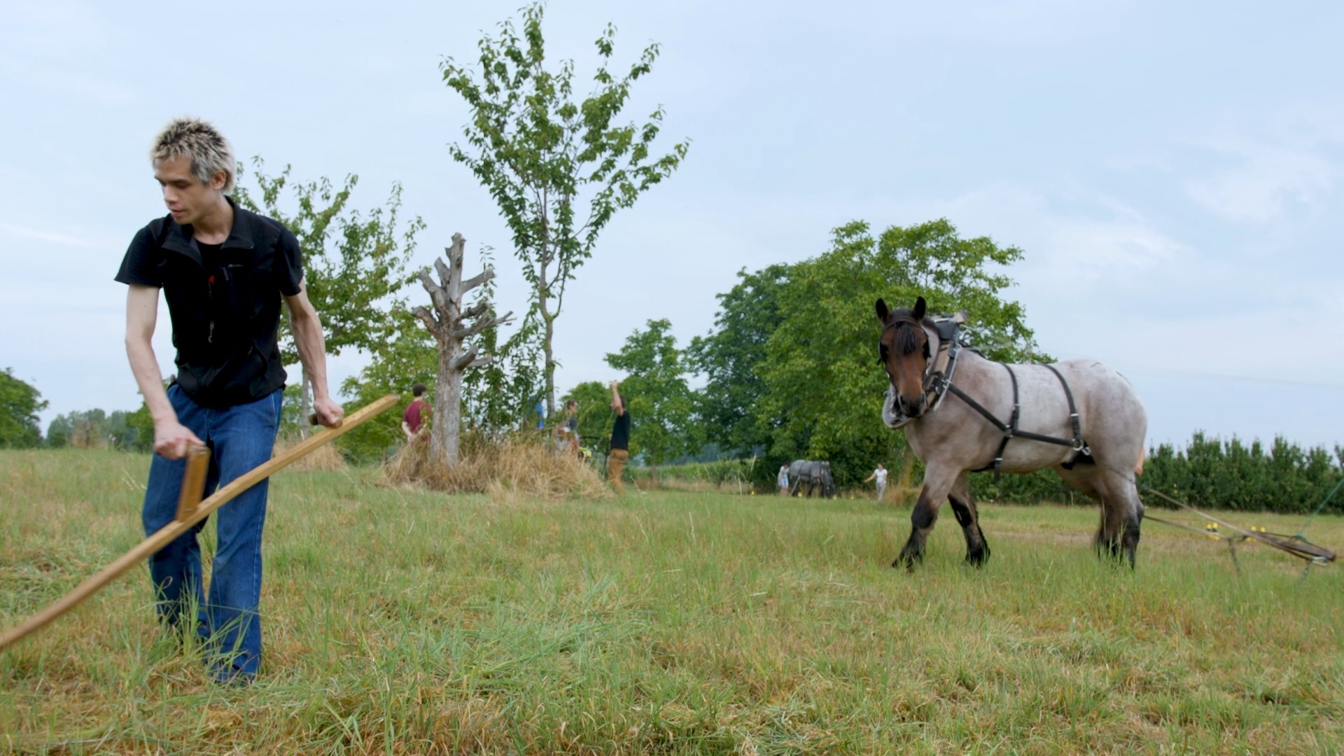 Hand power, horse labor and dance ©Evi Cats